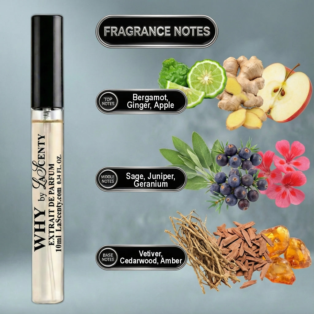 Why | 10ml Travel Spray - Inspired by YSL Y - EDP